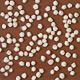 Rice Crispies Rice Crispies