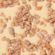Orange Almond Brittle Orange Almond Brittle