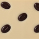 Mocha Beans Mocha Beans