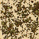 Organic Mint Leaves Organic Mint Leaves