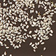Organic Sesame Seeds